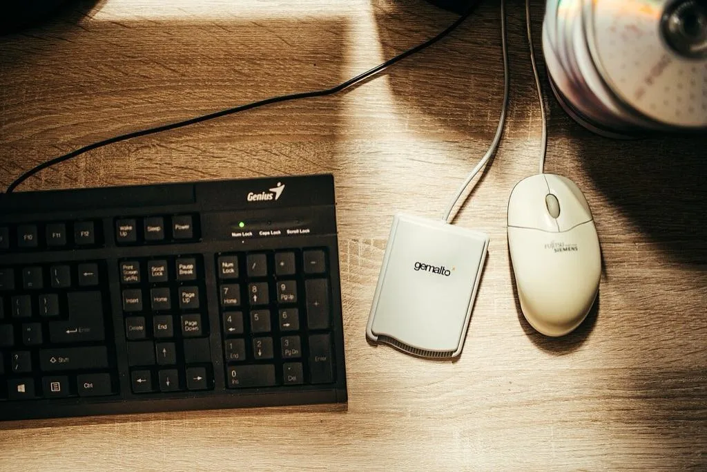 Clavier et souris – photo 1 sur 1