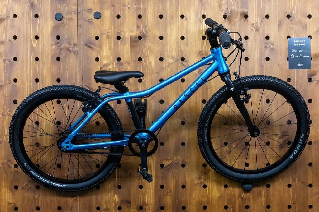 Vélo enfant 20 pouces – photo 1 sur 1